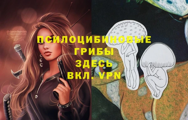 кокаин VHQ Алексеевка