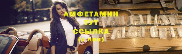 ГАЛЛЮЦИНОГЕННЫЕ ГРИБЫ Алзамай