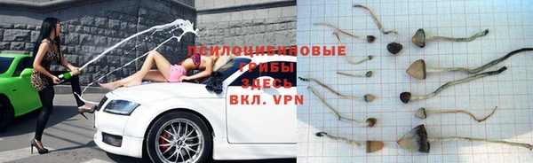 метадон Алексин